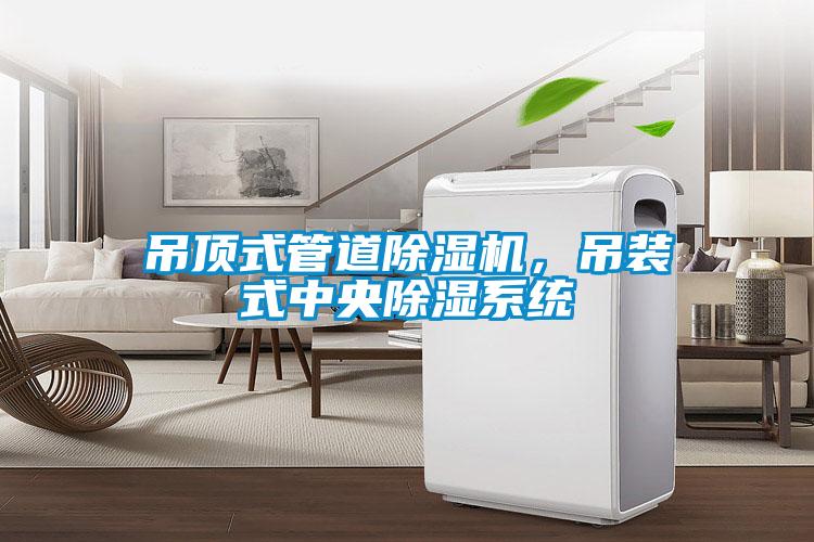 吊頂式管道除濕機(jī)，吊裝式中央除濕系統(tǒng)