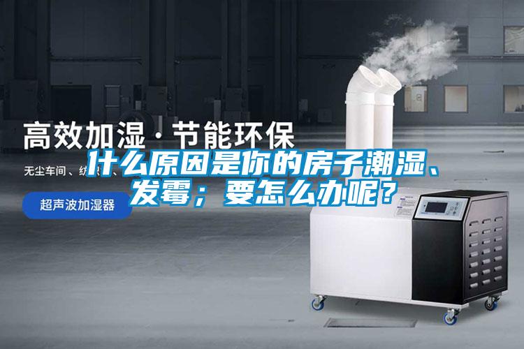 什么原因是你的房子潮濕、發(fā)霉；要怎么辦呢？