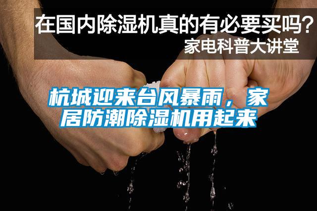 杭城迎來臺風暴雨，家居防潮除濕機用起來