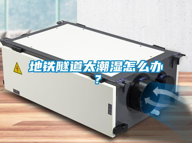 地鐵隧道太潮濕怎么辦？