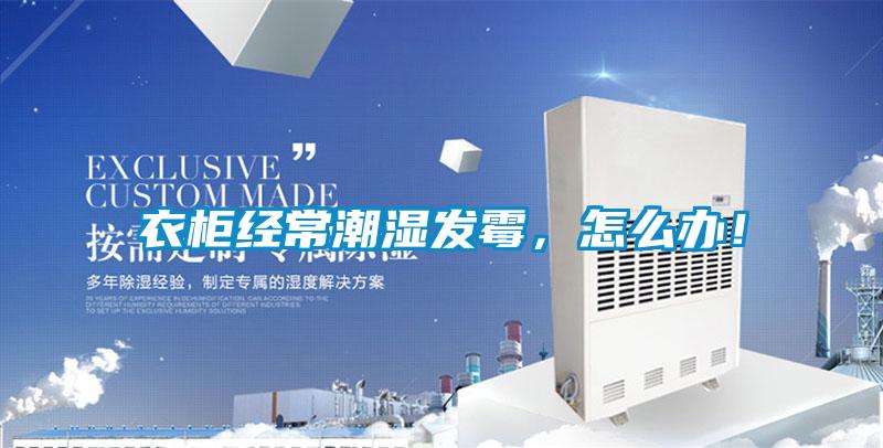 衣柜經(jīng)常潮濕發(fā)霉，怎么辦！