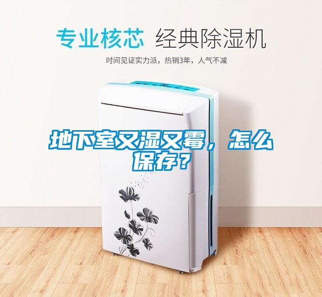 地下室又濕又霉，怎么保存？