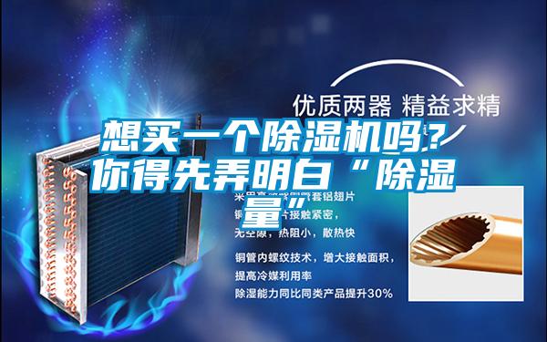 想買一個(gè)除濕機(jī)嗎？你得先弄明白“除濕量”