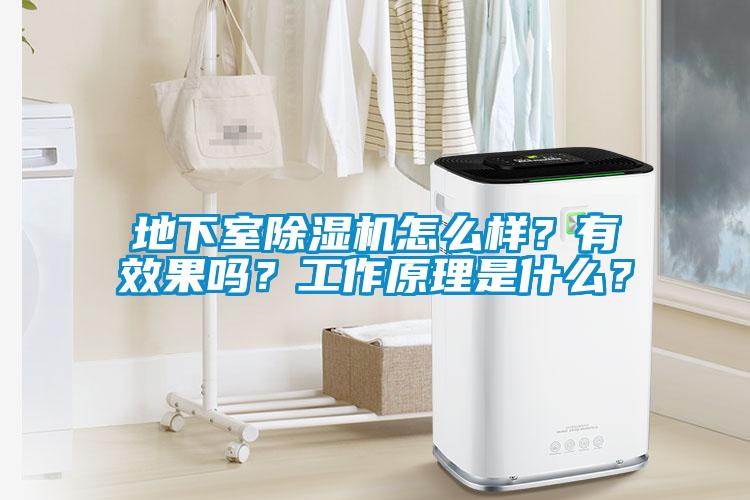 地下室除濕機怎么樣？有效果嗎？工作原理是什么？