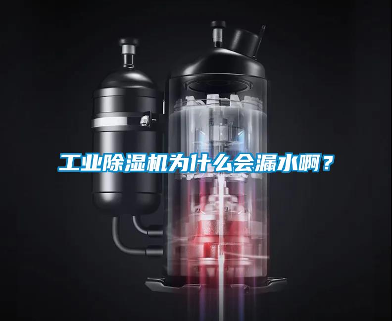 工業(yè)除濕機(jī)為什么會(huì)漏水??？