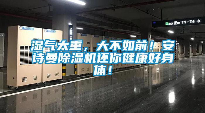 濕氣太重，大不如前！安詩(shī)曼除濕機(jī)還你健康好身體！