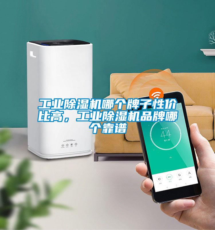 工業(yè)除濕機(jī)哪個(gè)牌子性價(jià)比高，工業(yè)除濕機(jī)品牌哪個(gè)靠譜