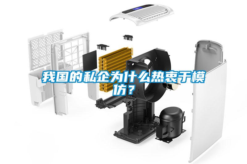 我國的私企為什么熱衷于模仿？