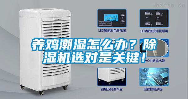 養(yǎng)雞潮濕怎么辦？除濕機(jī)選對是關(guān)鍵！