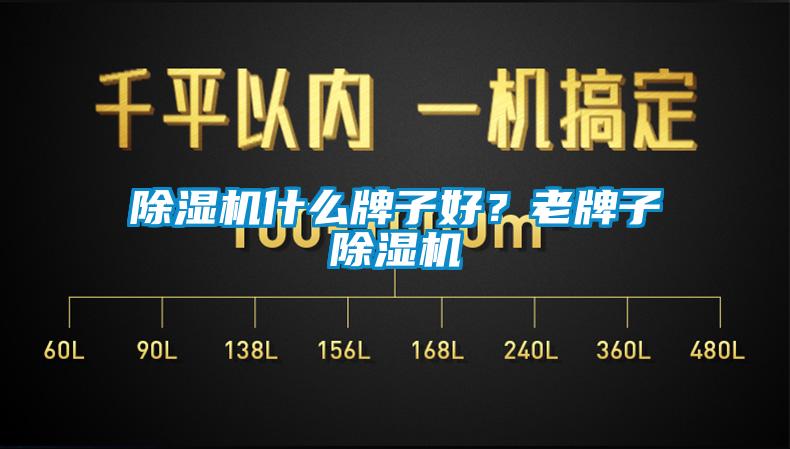 除濕機(jī)什么牌子好？老牌子除濕機(jī)