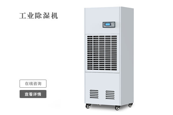 舞獅慶新春，開門滿堂紅