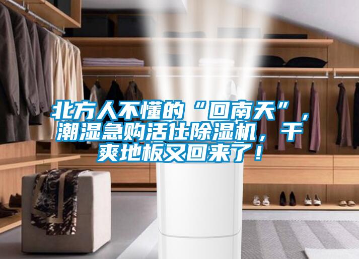 北方人不懂的“回南天”，潮濕急購活仕除濕機，干爽地板又回來了！