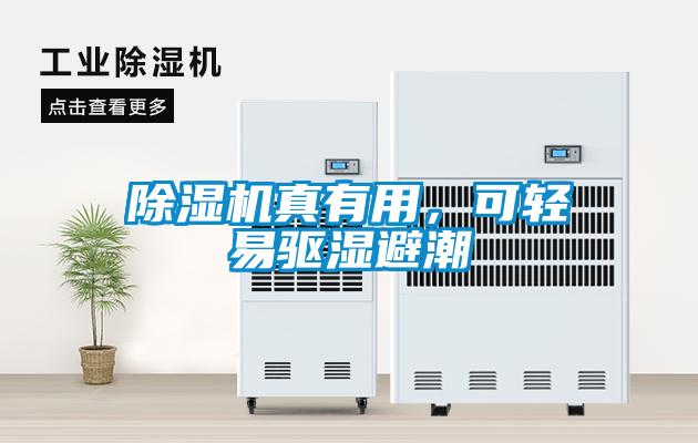 除濕機(jī)真有用，可輕易驅(qū)濕避潮
