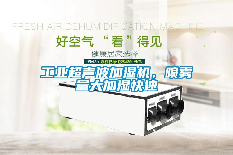 工業(yè)超聲波加濕機(jī)，噴霧量大加濕快速