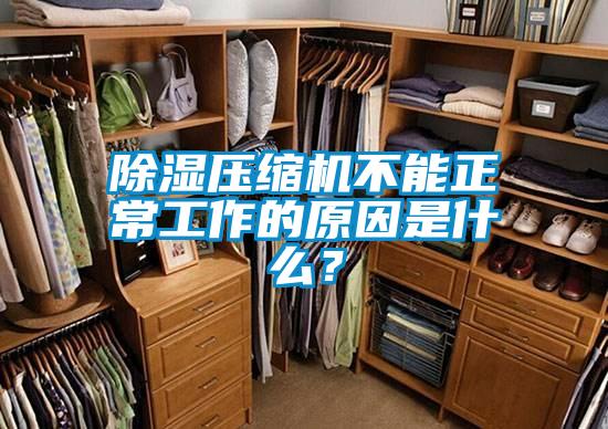 除濕壓縮機(jī)不能正常工作的原因是什么？