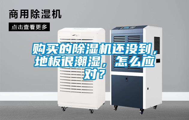 購(gòu)買(mǎi)的除濕機(jī)還沒(méi)到，地板很潮濕，怎么應(yīng)對(duì)？