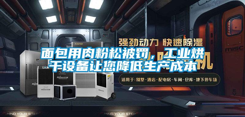 面包用肉粉松被罰，工業(yè)烘干設(shè)備讓您降低生產(chǎn)成本