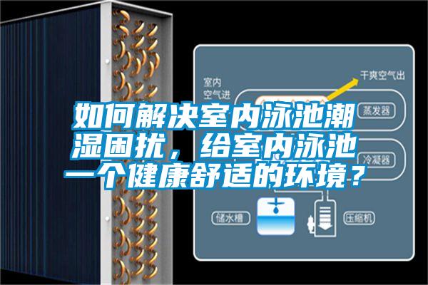如何解決室內(nèi)泳池潮濕困擾，給室內(nèi)泳池一個(gè)健康舒適的環(huán)境？