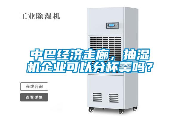 中巴經(jīng)濟走廊，抽濕機企業(yè)可以分杯羹嗎？