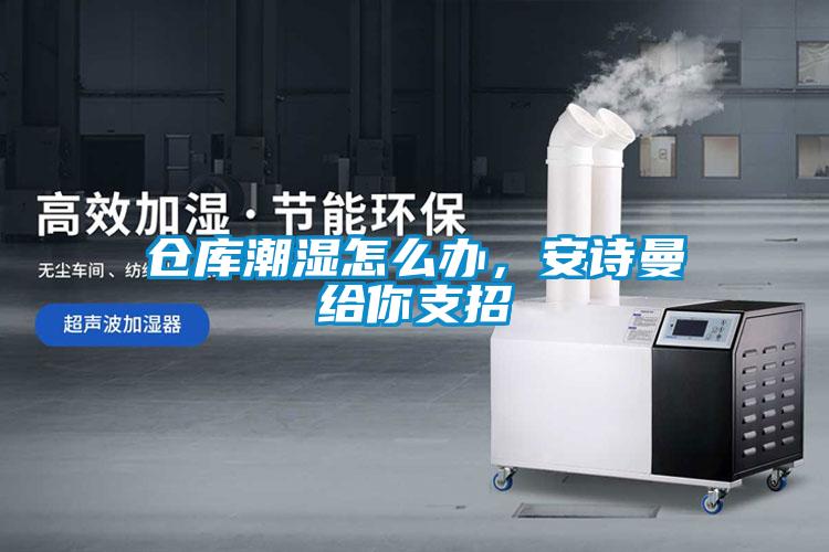 倉(cāng)庫(kù)潮濕怎么辦，安詩(shī)曼給你支招
