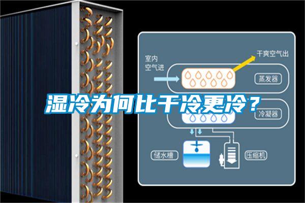 濕冷為何比干冷更冷？