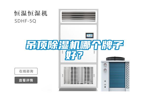 吊頂除濕機哪個牌子好？