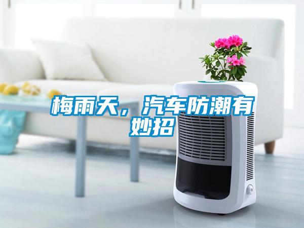 梅雨天，汽車防潮有妙招