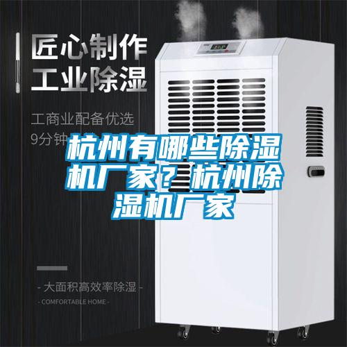 杭州有哪些除濕機廠家？杭州除濕機廠家