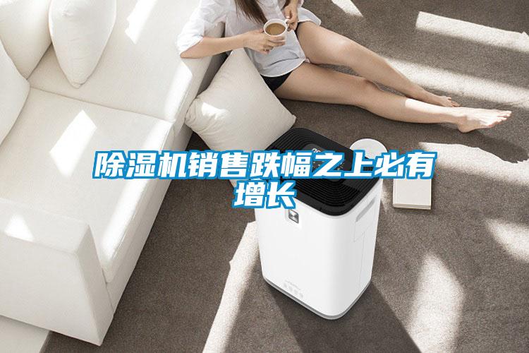 除濕機(jī)銷售跌幅之上必有增長