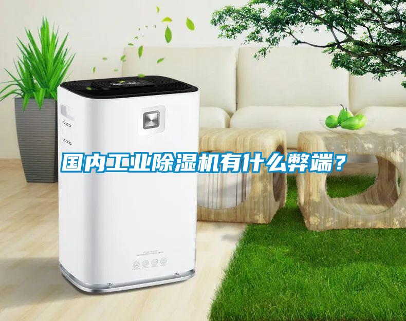國內(nèi)工業(yè)除濕機(jī)有什么弊端？