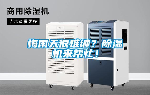 梅雨天很難纏？除濕機(jī)來幫忙！