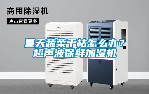 夏天蔬菜干枯怎么辦？超聲波保鮮加濕機