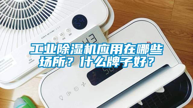 工業(yè)除濕機應用在哪些場所？什么牌子好？