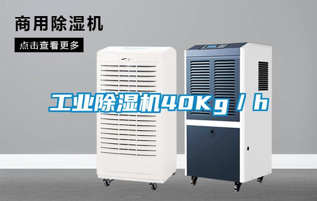 工業(yè)除濕機40Kg／h