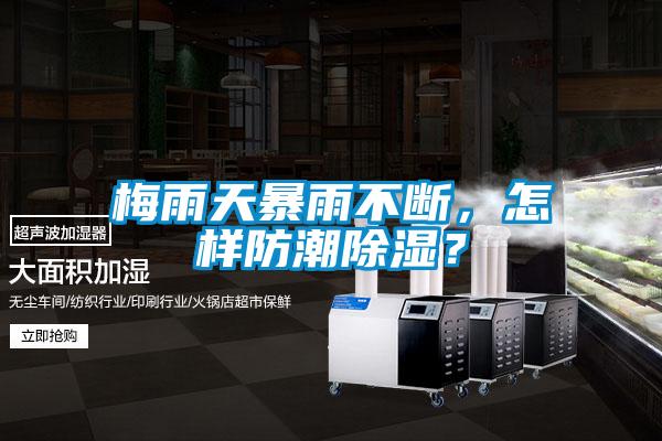 梅雨天暴雨不斷，怎樣防潮除濕？