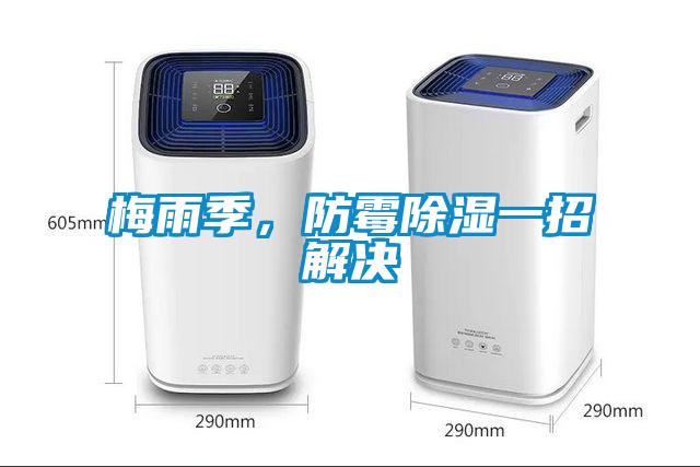 梅雨季，防霉除濕一招解決