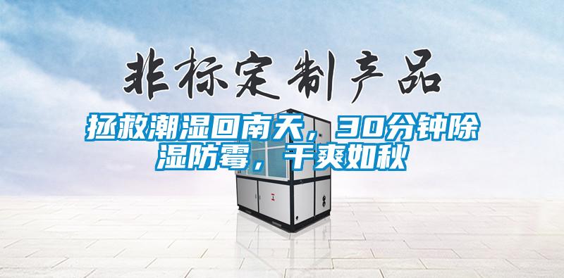 拯救潮濕回南天，30分鐘除濕防霉，干爽如秋