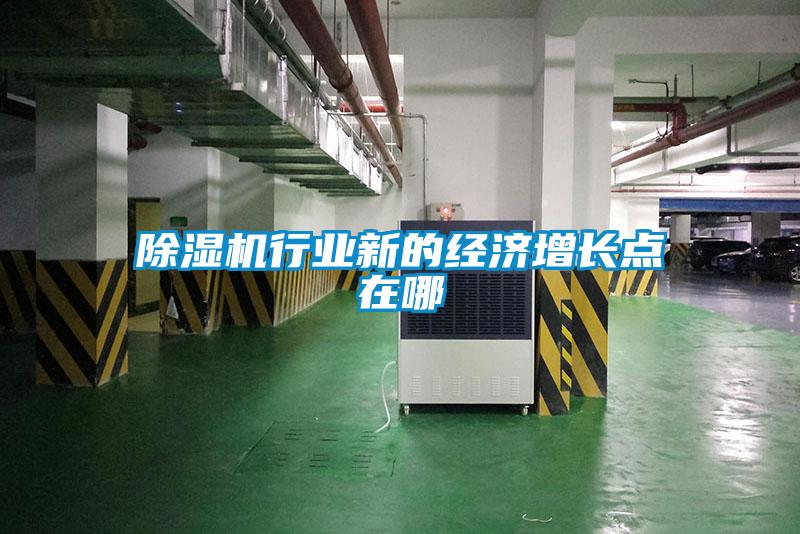 除濕機(jī)行業(yè)新的經(jīng)濟(jì)增長點(diǎn)在哪