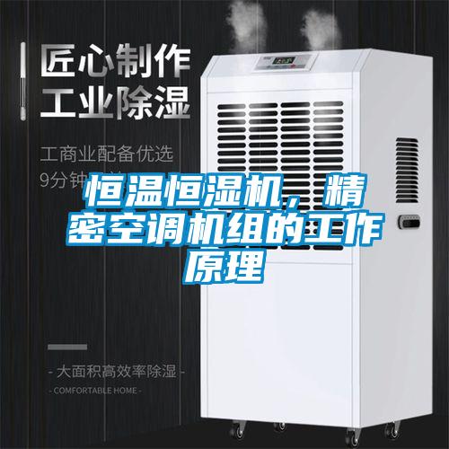 恒溫恒濕機(jī)，精密空調(diào)機(jī)組的工作原理