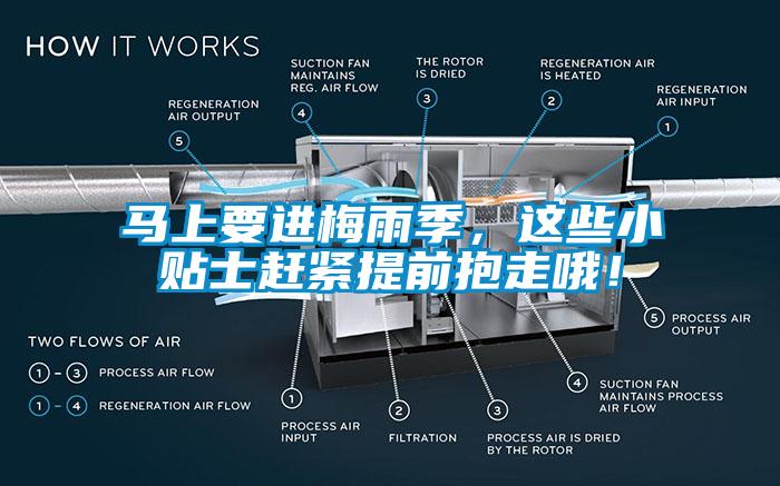 馬上要進(jìn)梅雨季，這些小貼士趕緊提前抱走哦！