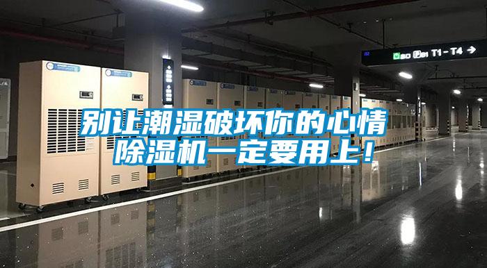 別讓潮濕破壞你的心情 除濕機一定要用上！