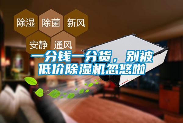 一分錢一分貨，別被低價除濕機忽悠啦