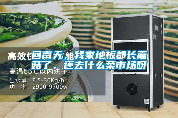 回南天，我家地板都長蘑菇了，還去什么菜市場(chǎng)呀