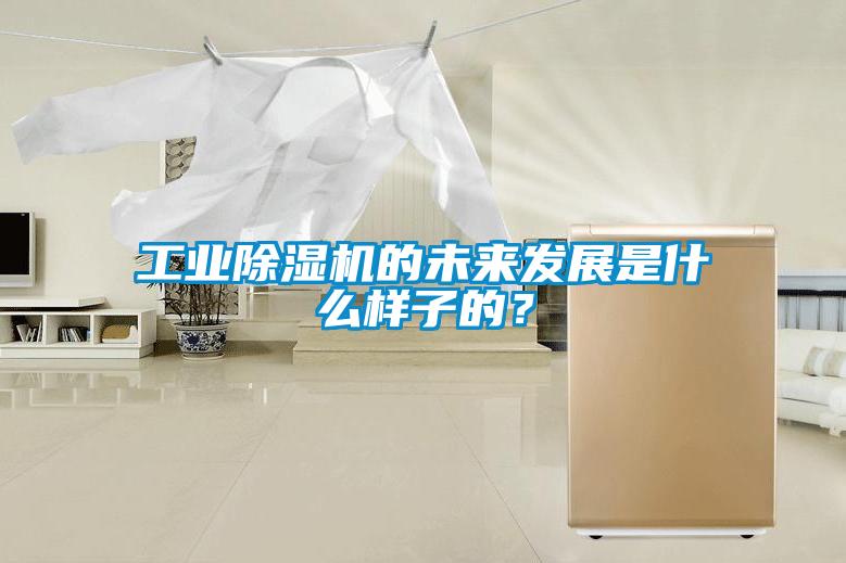 工業(yè)除濕機(jī)的未來(lái)發(fā)展是什么樣子的？