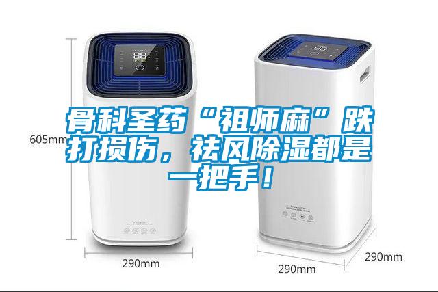 骨科圣藥“祖師麻”跌打損傷，祛風(fēng)除濕都是一把手！