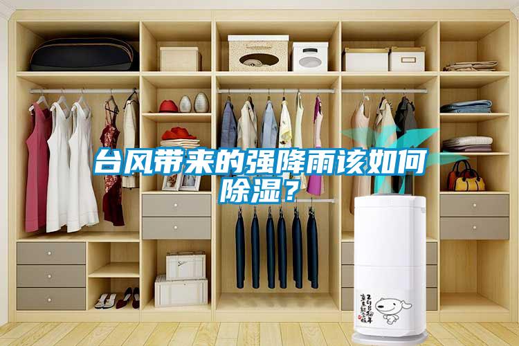臺風(fēng)帶來的強降雨該如何除濕？