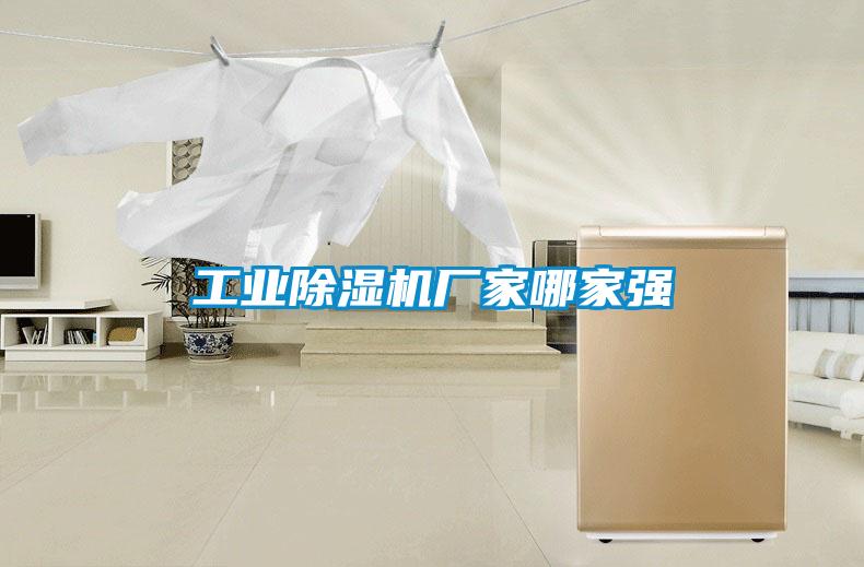 工業(yè)除濕機(jī)廠(chǎng)家哪家強(qiáng)