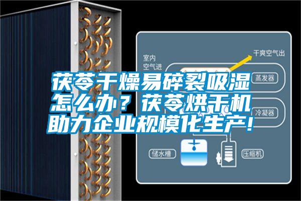 茯苓干燥易碎裂吸濕怎么辦？茯苓烘干機(jī)助力企業(yè)規(guī)?；a(chǎn)!