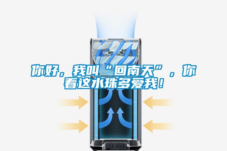 你好，我叫“回南天”，你看這水珠多愛我！
