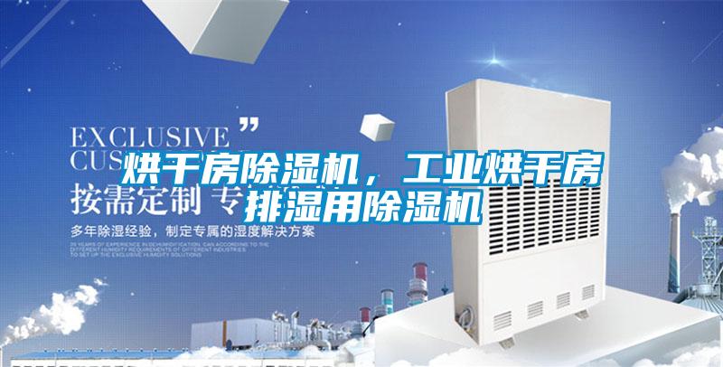 烘干房除濕機，工業(yè)烘干房排濕用除濕機